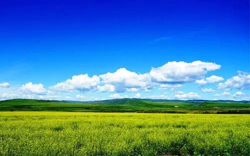 深港強(qiáng)化生態(tài)環(huán)境領(lǐng)域規(guī)則銜接與機(jī)制對(duì)接，攜手共赴美麗中國先行區(qū)之約 