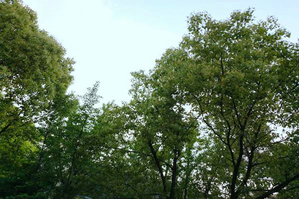 《汕尾市空氣質量持續改善行動方案》印發