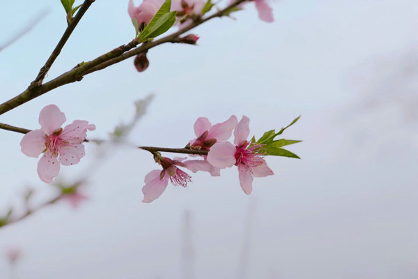 助企精準(zhǔn)治污降本增效，蘇州首個(gè)“炭管家”智慧平臺(tái)全面推廣